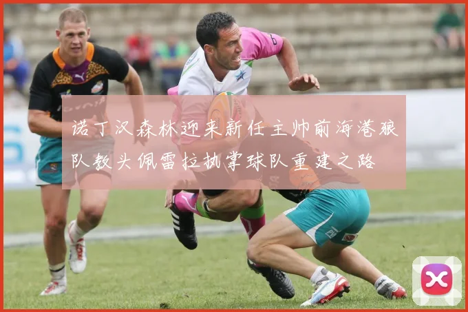 诺丁汉森林迎来新任主帅前海港狼队教头佩雷拉执掌球队重建之路