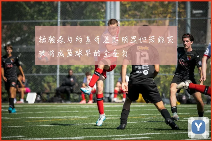 杨瀚森与约基奇差距明显但若能突破将成篮球界的全垒打