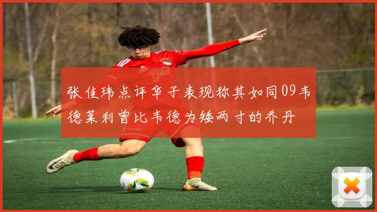 张佳玮点评华子表现称其如同09韦德莱利曾比韦德为矮两寸的乔丹