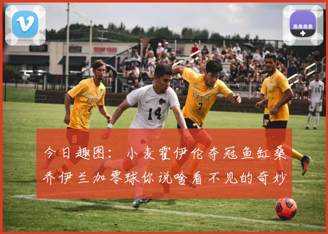 今日趣图：小麦霍伊伦夺冠鱼缸桑乔伊兰加零球你说啥看不见的奇妙瞬间